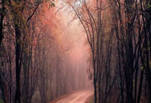 Unpacking This Week's Economic Signals: What's Shaping Our Tomorrow