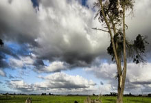 Unpacking This Week's Economic Signals: What's Shaping Our Tomorrow