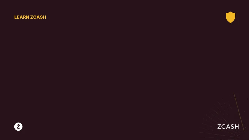 Zcash's Price Surge: Analyzing the Data Behind Its Price Prediction – What Reddit is Saying