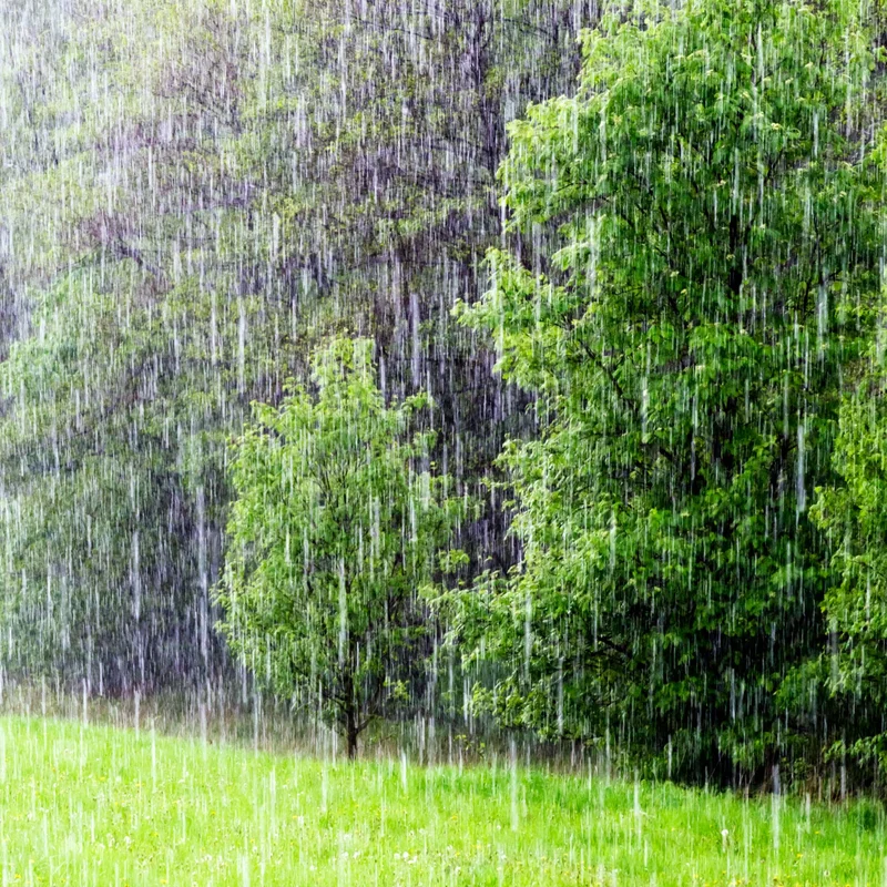 Rain: The New Reality and How We Navigate Its Future